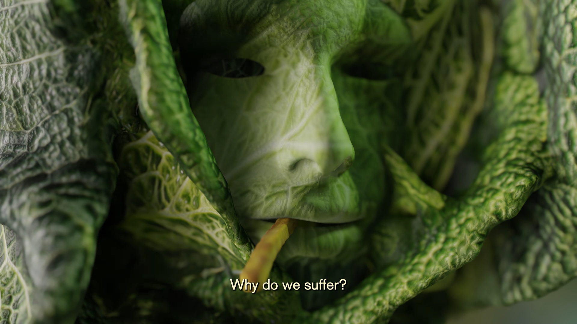 You are light and cabbage: Diana Gheorghiu You are light and cabbage: Diana Gheorghiu